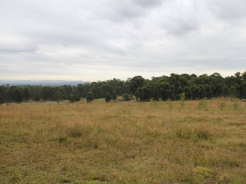 Cliftleigh NSW 2321