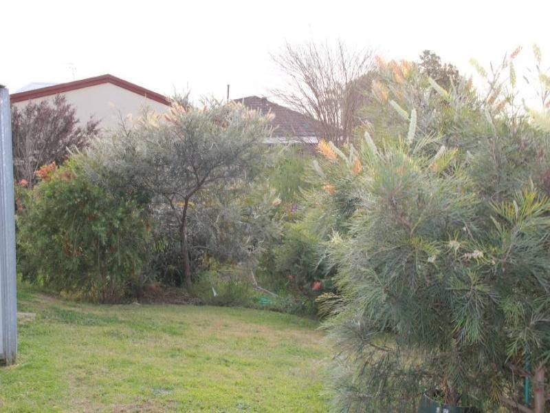 Weston NSW 2326