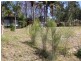 Weston NSW 2326