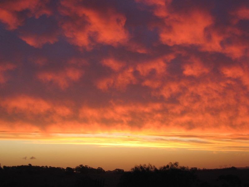 59 Bulla Road, Bulla VIC 3428