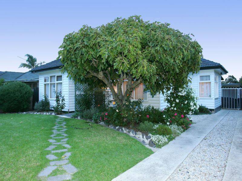 61 Eumarella Street, Tullamarine VIC 3043