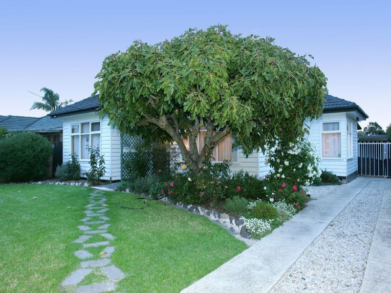 61 Eumarella Street, Tullamarine VIC 3043