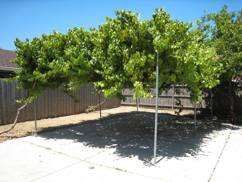 260 Carrick Drive, Gladstone Park VIC 3043