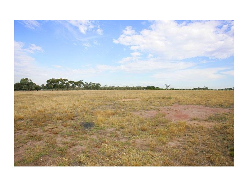 50 Blackwells Lane, Bulla VIC 3428