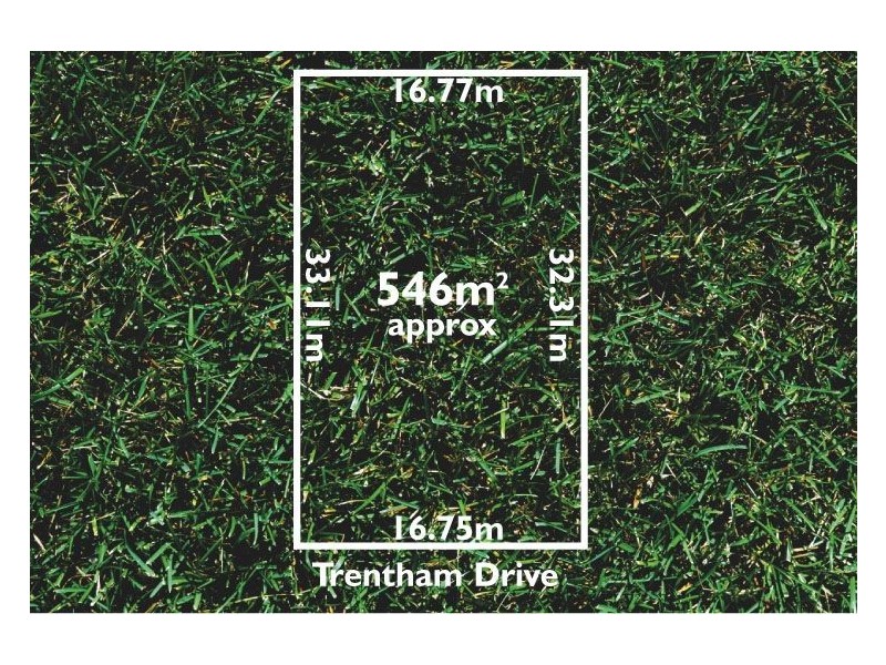 17 Trentham Drive, Gladstone Park VIC 3043