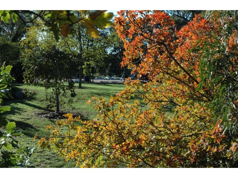 11 Jedburgh Place, Greenvale VIC 3059