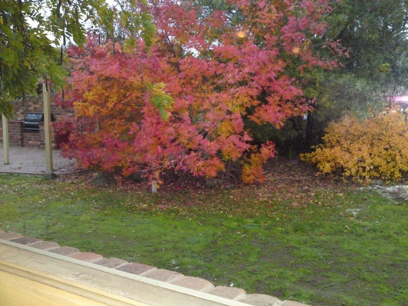 7 Airdrie Mews, Greenvale VIC 3059