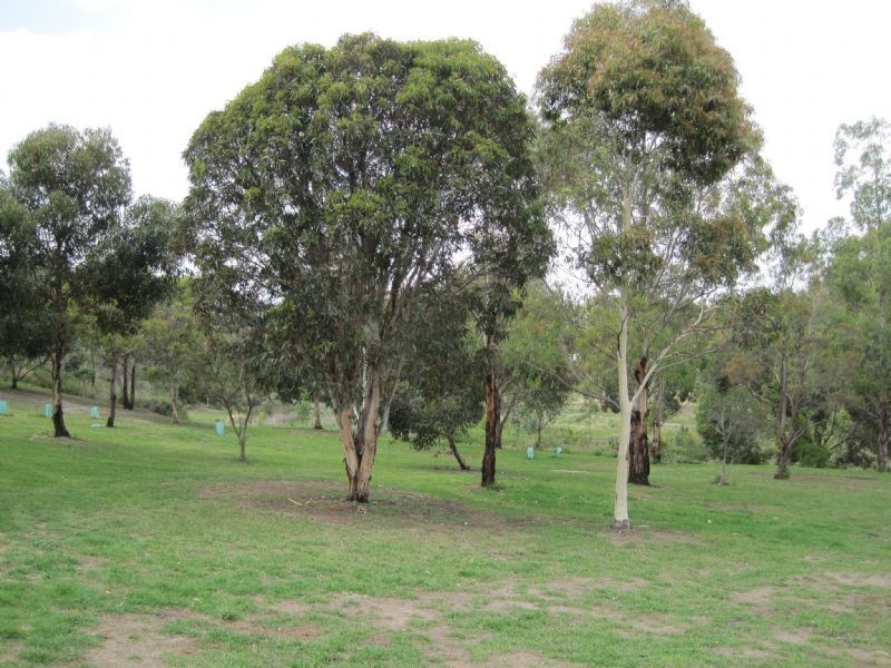 16 Riddell Street, Westmeadows VIC 3049