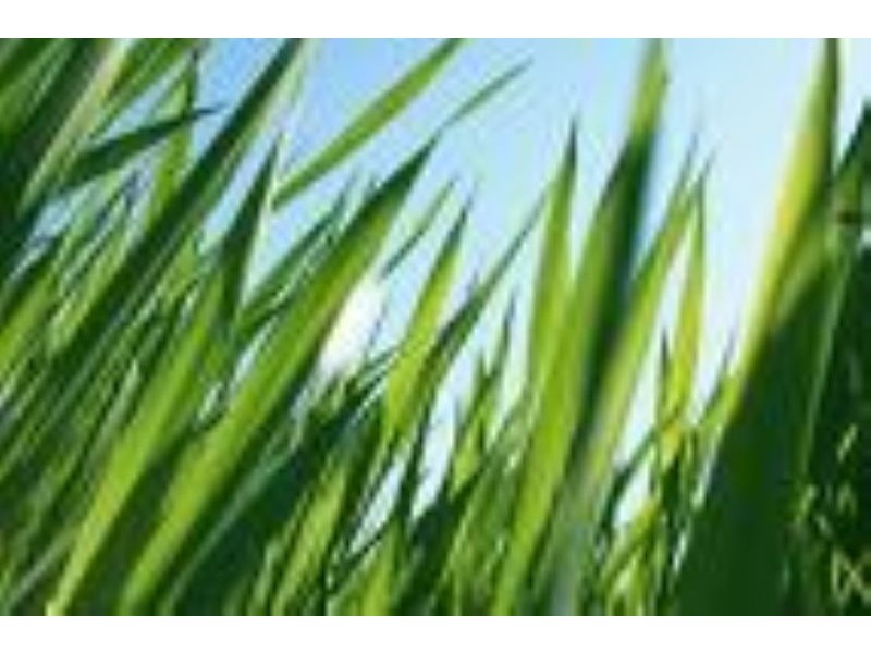 Lot 617 Primula Blvd, Gowanbrae VIC 3043