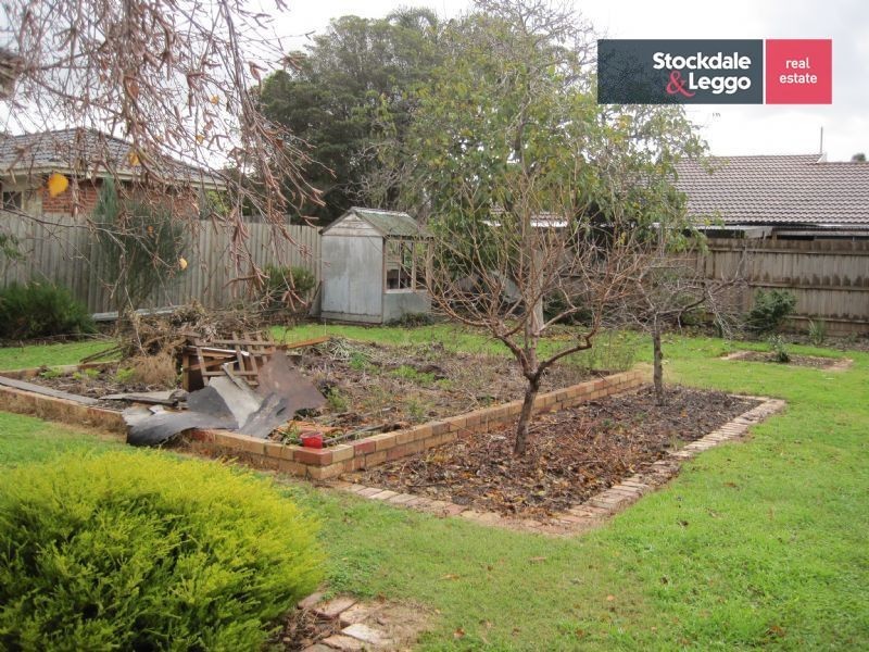 256 Melrose Drive, Tullamarine VIC 3043