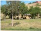 59 Marigold Crescent, Gowanbrae VIC 3043