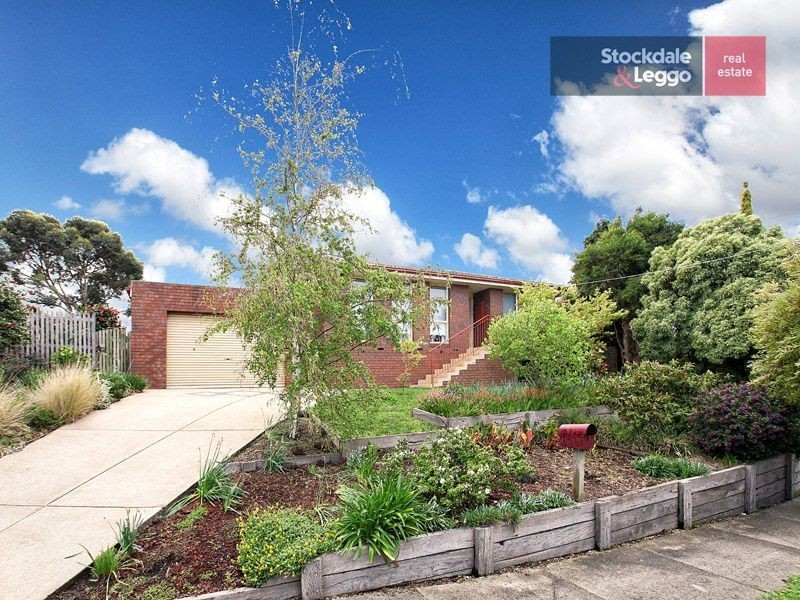 28 Clovelly Drive, Craigieburn VIC 3064