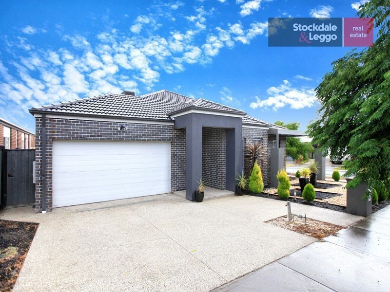 6 Armadale Road, Craigieburn VIC 3064