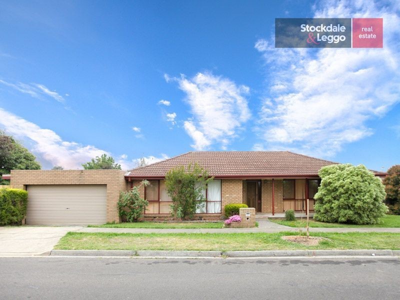 36 Wattleglen Street, Craigieburn VIC 3064