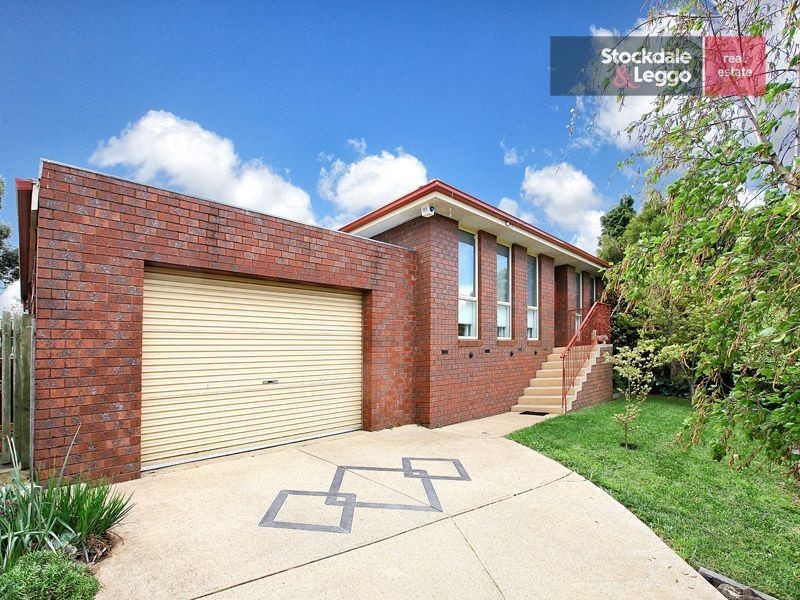 28 Clovelly Drive, Craigieburn VIC 3064