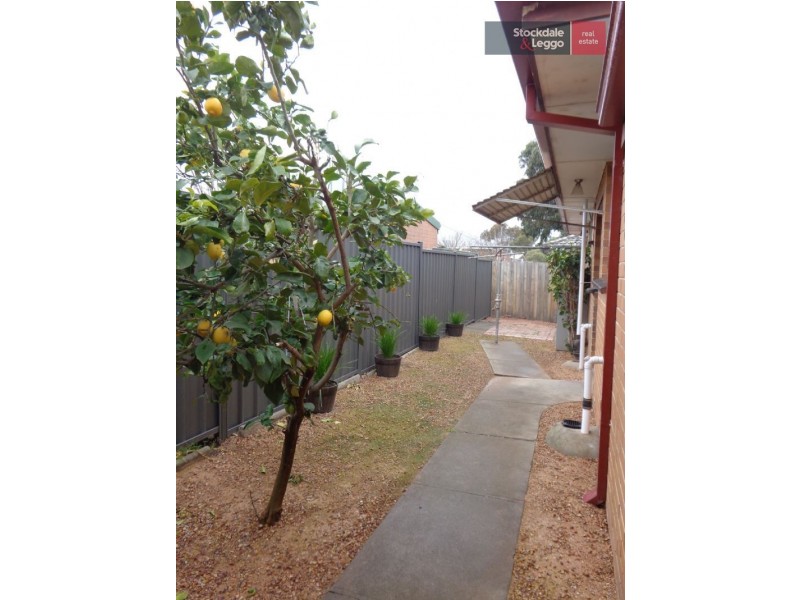 2/13 Arnold Court, Pascoe Vale VIC 3044