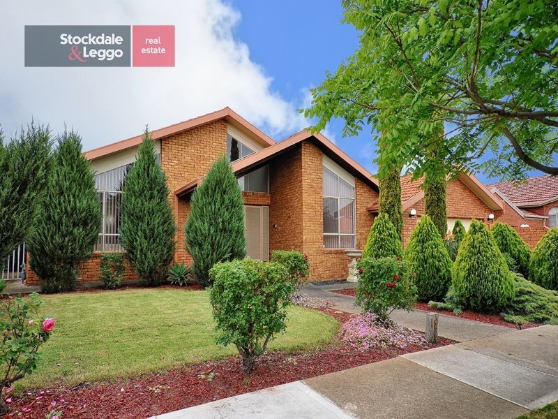 19 Mossgiel Avenue, Greenvale VIC 3059