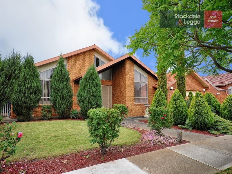 19 Mossgiel Avenue, Greenvale VIC 3059