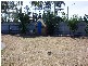2 Sandown Close, Mill Park VIC 3082
