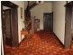 177 Buckley Street, Essendon VIC 3040