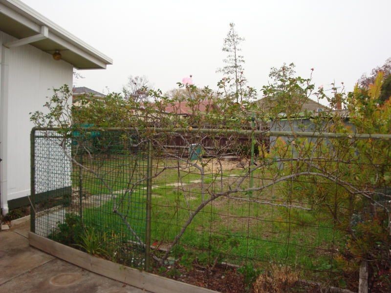 489 Buckley Street, Essendon VIC 3040