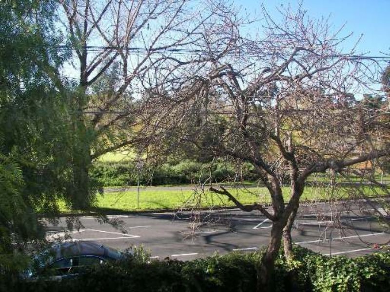 1/91 Manningham Street, Parkville VIC 3052