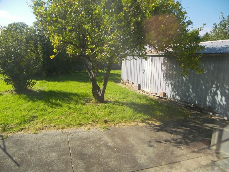50 Percy Street, Fawkner VIC 3060