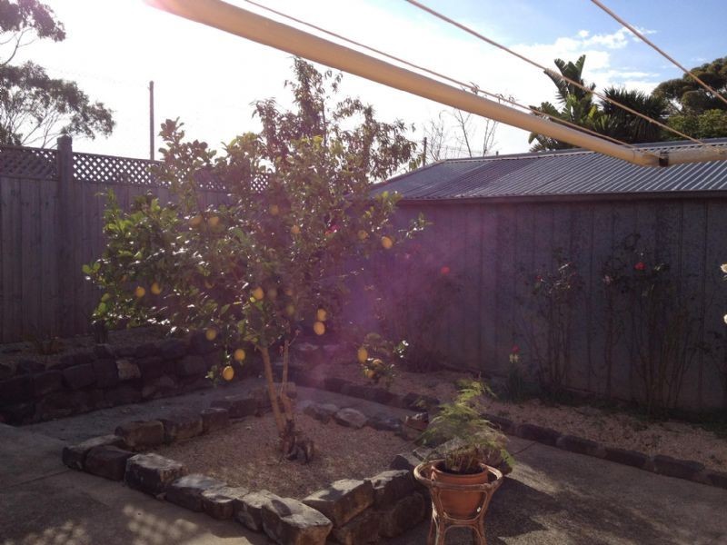 24 Glenys Avenue, Airport West VIC 3042
