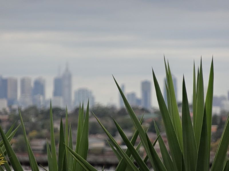 106 Gowanbrae Drive, Gowanbrae VIC 3043