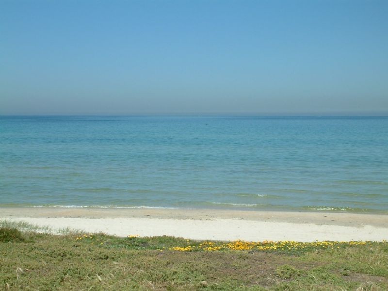 89 Amaroo Drive, Chelsea Heights VIC 3196