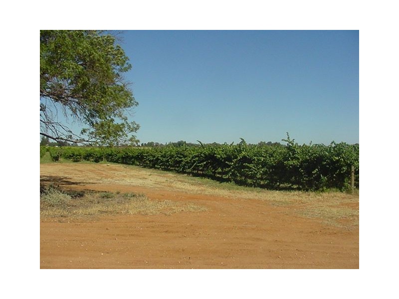 26 (Block) Main Avenue North, Merbein VIC 3505