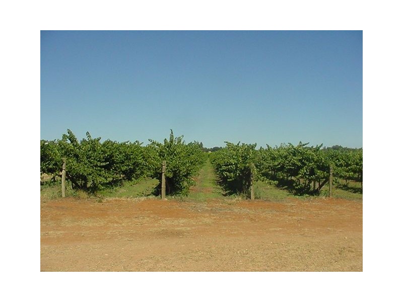 26 (Block) Main Avenue North, Merbein VIC 3505