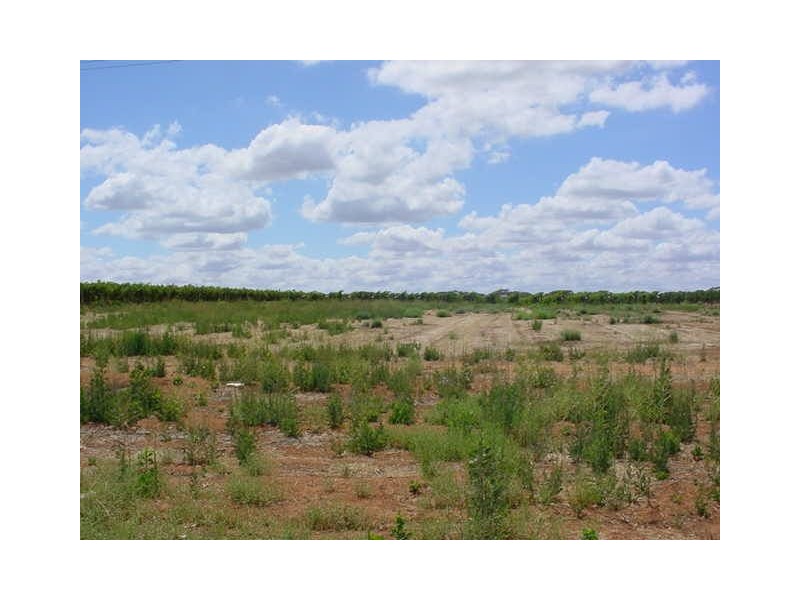 0 Whitecliff Avenue, Merbein South VIC 3505