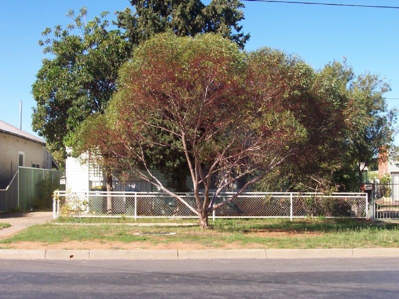 30 San Mateo Avenue, Mildura VIC 3500