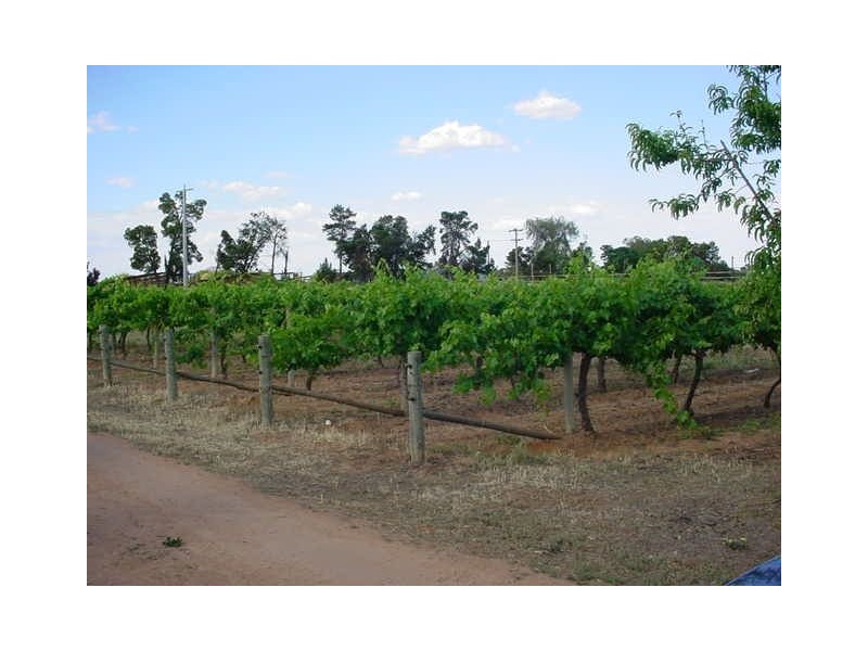 371 Channel Road, Merbein VIC 3505