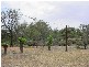 0 Darlingview Road (Via), Wentworth NSW 2648