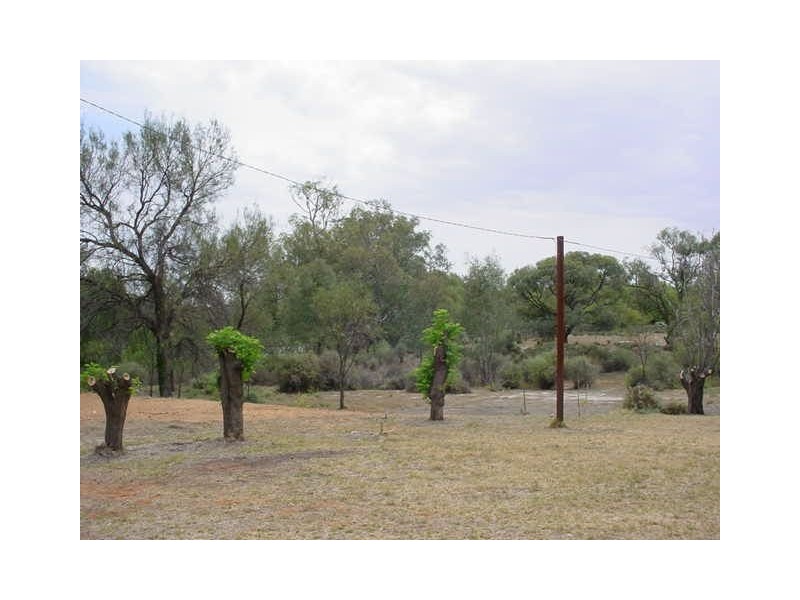 0 Darlingview Road (Via), Wentworth NSW 2648