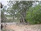 0 Darlingview Road (Via), Wentworth NSW 2648