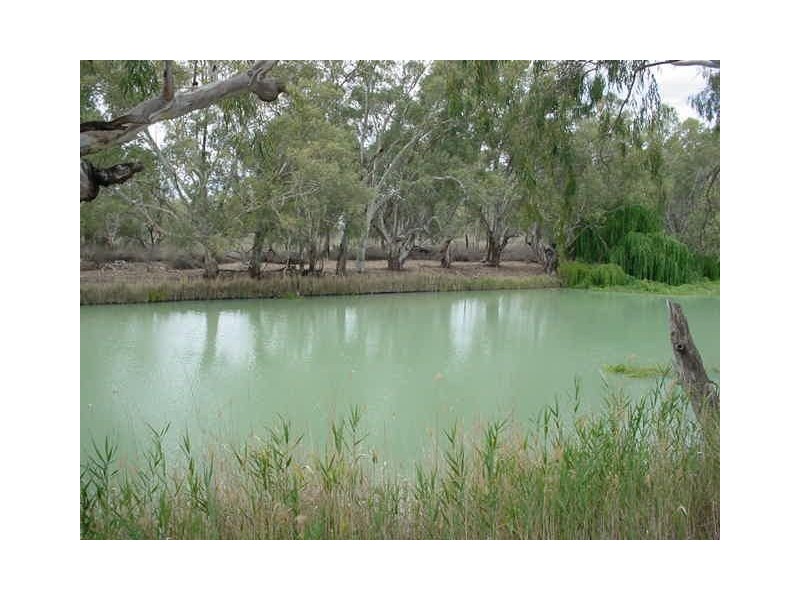 0 Darlingview Road (Via), Wentworth NSW 2648