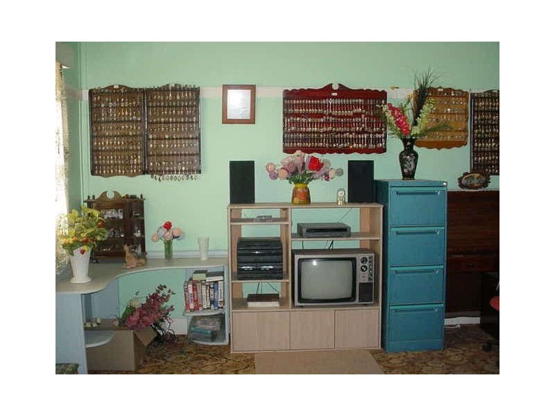 16 Thompson Street, Merbein VIC 3505