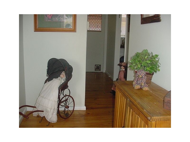 302 Walnut Avenue, Mildura VIC 3500