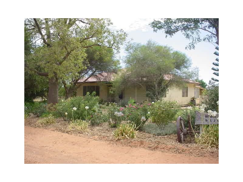 38 Oleander Drive, Dareton NSW 2717