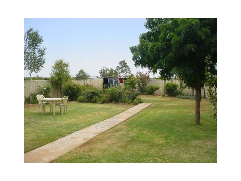 38 Oleander Drive, Dareton NSW 2717