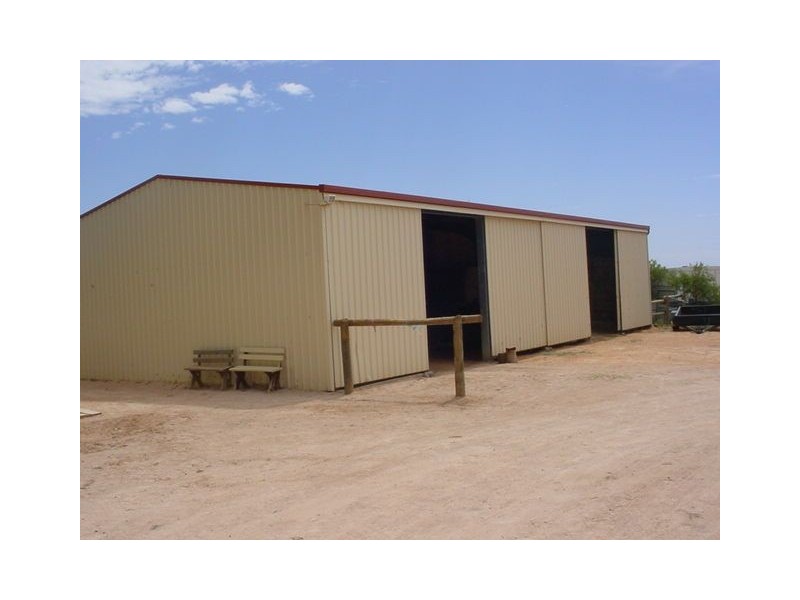 38 Oleander Drive, Dareton NSW 2717