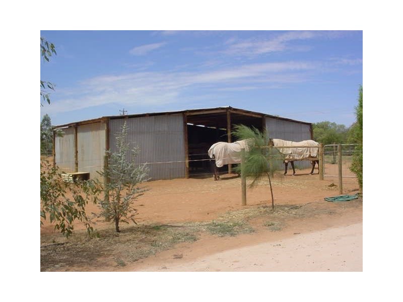 38 Oleander Drive, Dareton NSW 2717