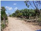 7 Cassidy Road, Ouyen VIC 3490