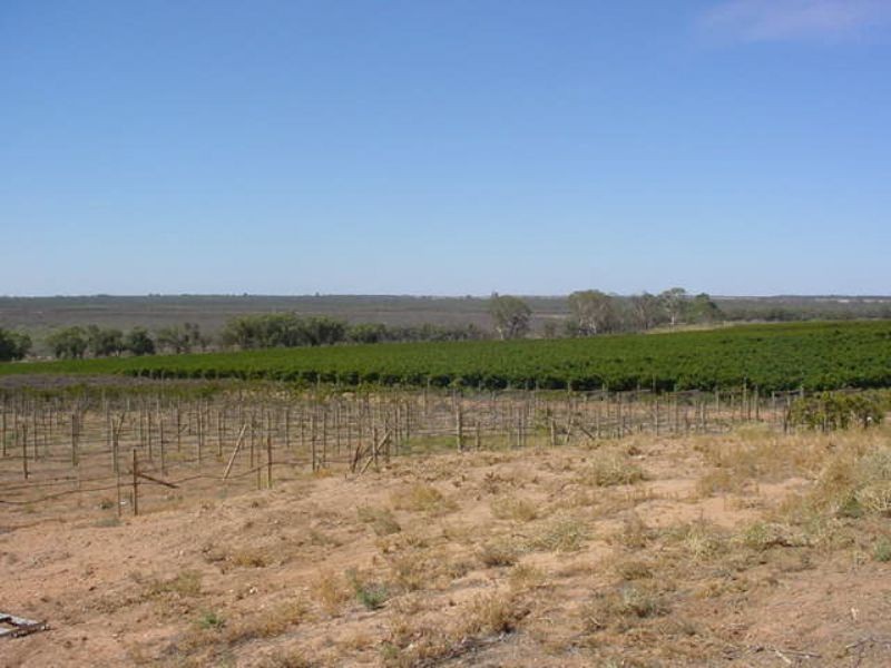 209 Buloke Street, Red Cliffs VIC 3496