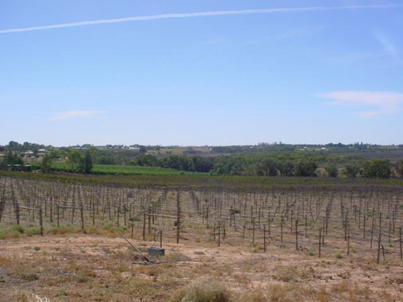 209 Buloke Street, Red Cliffs VIC 3496