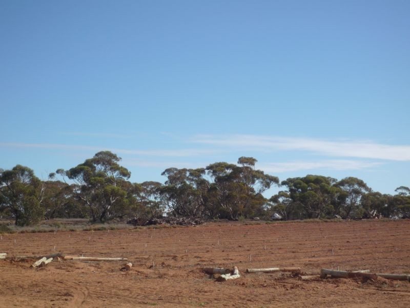 Seventh Street, Merbein South VIC 3505