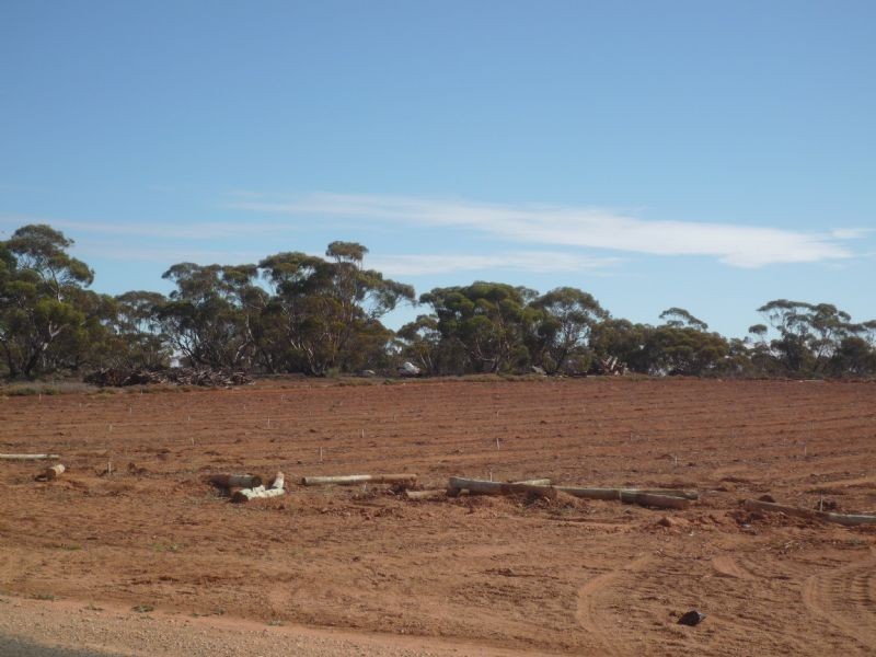 Seventh Street, Merbein South VIC 3505